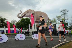 BIB: 
                            <button type="button" onclick="openModal(26528625)" class="btn btn-primary btn-sm float-right btn-popup" data-toggle="modal" data-target=".modal-high-quality">
                        <i class="fas fa-shopping-cart"></i> Add to Cart
                    </button>
                                            <button type="button" onclick="isThisMe(26528625, true)" class="btn btn-success btn-sm float-right btn-popup btn-isme hidden" data-toggle="tooltip" data-placement="bottom" title="นี่คือรูปของคุณใช่ไหม คลิกที่นี่เพื่อเอาเข้าอัลบั้ม">
                        <i class="fas fa-plus"></i> Add to album
                    </button>
                    <button type="button" onclick="isThisMe(26528625, false)" class="btn btn-warning btn-sm float-right btn-popup btn-isnotme hidden">
                        <i class="fas fa-ban"></i> Remove from album
                    </button>